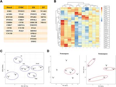 Transcriptomic profiling of Indian breast cancer patients revealed subtype-specific mRNA and lncRNA signatures